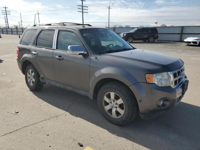 2011 Ford Escape Limited