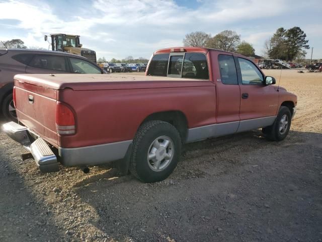 1999 Dodge Dakota