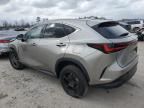 2023 Lexus NX 350