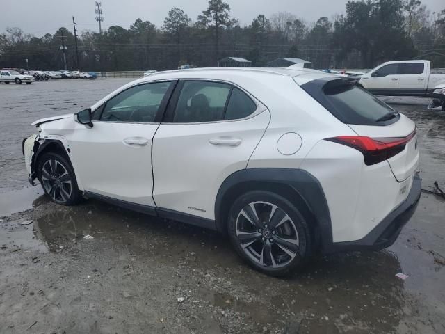 2020 Lexus UX 250H