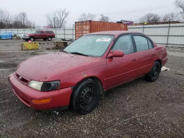 1997 Toyota Corolla DX