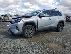 Salvage cars for sale at San Diego, CA auction: 2024 Toyota Rav4 XLE Premium