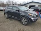 2014 KIA Sportage EX