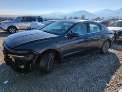 Carros salvage a la venta en subasta: 2024 Hyundai Sonata Hybrid