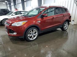 Salvage cars for sale at Ham Lake, MN auction: 2014 Ford Escape Titanium