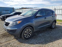 Salvage cars for sale at Anderson, CA auction: 2015 KIA Sportage LX