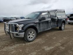 Salvage cars for sale at Helena, MT auction: 2017 Ford F150 Supercrew