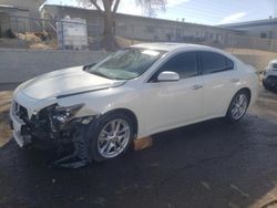 Salvage cars for sale at Albuquerque, NM auction: 2012 Nissan Maxima S