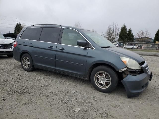 2005 Honda Odyssey EXL