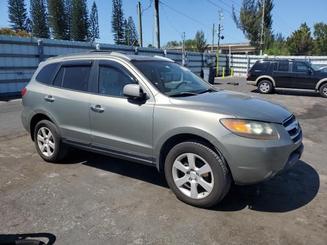 2007 Hyundai Santa FE SE