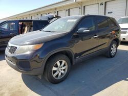 Salvage cars for sale at Louisville, KY auction: 2011 KIA Sorento Base