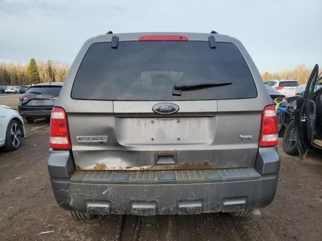 2010 Ford Escape XLT