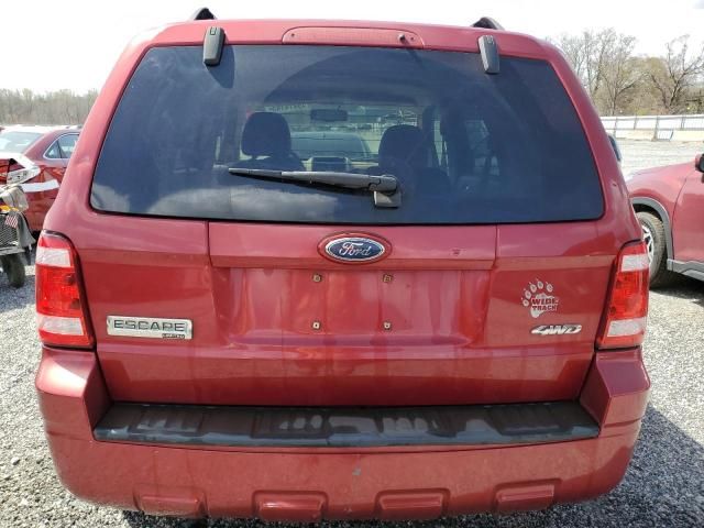 2008 Ford Escape Limited