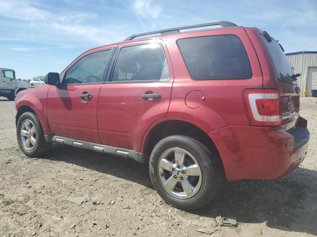 2011 Ford Escape XLT