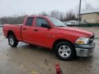 2010 Dodge RAM 1500