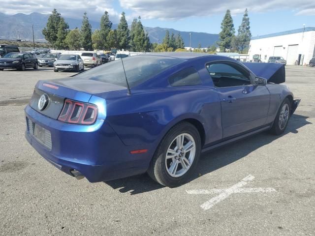 2014 Ford Mustang