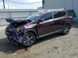 Salvage cars for sale at Jacksonville, FL auction: 2016 Toyota Rav4 XLE