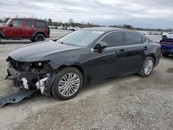 Salvage cars for sale at Lumberton, NC auction: 2013 Lexus ES 350