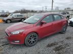 2017 Ford Focus SEL