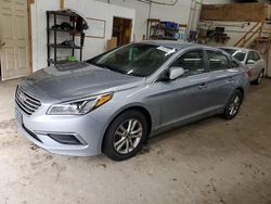 Salvage cars for sale at Ham Lake, MN auction: 2017 Hyundai Sonata SE