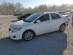 Salvage cars for sale at Madisonville, TN auction: 2009 Toyota Corolla Base