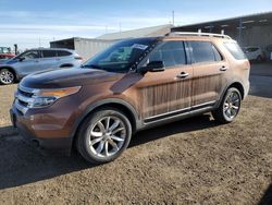 Salvage cars for sale at Brighton, CO auction: 2012 Ford Explorer XLT