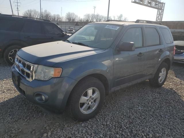 2010 Ford Escape XLT