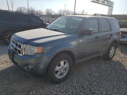 Salvage cars for sale at Columbus, OH auction: 2010 Ford Escape XLT