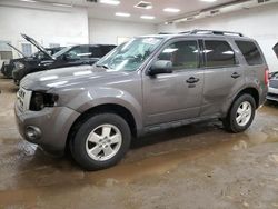 Salvage cars for sale at Davison, MI auction: 2011 Ford Escape XLT