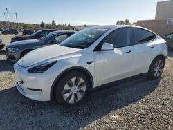 Salvage cars for sale at Mentone, CA auction: 2023 Tesla Model Y