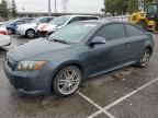 2010 Scion TC