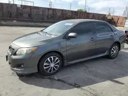 Salvage cars for sale at Wilmington, CA auction: 2009 Toyota Corolla Base