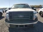 2010 Ford F150