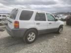 2007 Ford Escape XLT