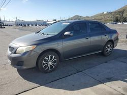 Salvage cars for sale at Colton, CA auction: 2009 Toyota Corolla Base