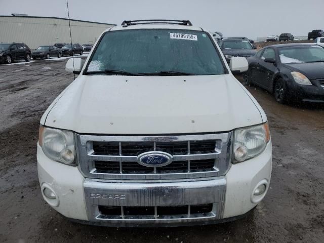 2010 Ford Escape Limited