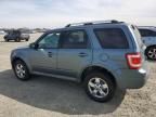 2010 Ford Escape Limited