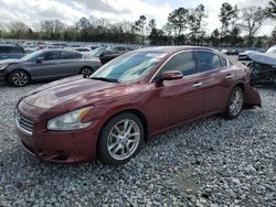 Salvage cars for sale at Byron, GA auction: 2010 Nissan Maxima S