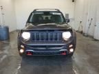 2019 Jeep Renegade Trailhawk