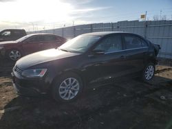 Salvage cars for sale at Greenwood, NE auction: 2013 Volkswagen Jetta SE