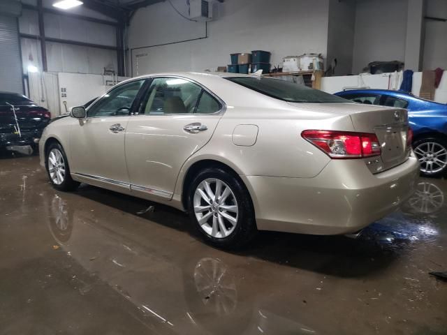 2010 Lexus ES 350