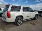 2009 Cadillac Escalade Hybrid