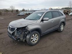 Salvage cars for sale at Columbia Station, OH auction: 2011 KIA Sorento Base