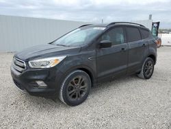 Salvage cars for sale at Arcadia, FL auction: 2017 Ford Escape SE