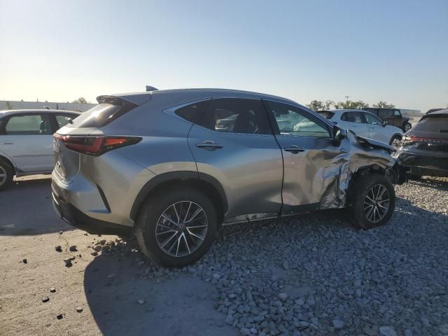 2024 Lexus NX 350H Base