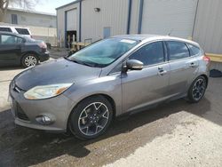 Salvage cars for sale at Albuquerque, NM auction: 2014 Ford Focus SE