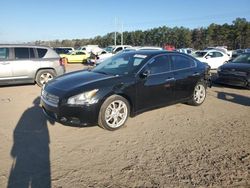 Salvage cars for sale at Greenwell Springs, LA auction: 2013 Nissan Maxima S