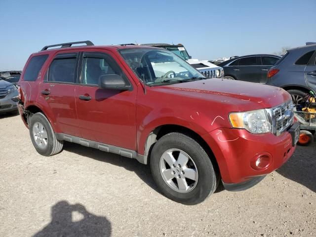 2009 Ford Escape XLT