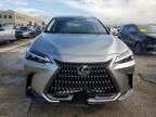 2025 Lexus NX 350H Base