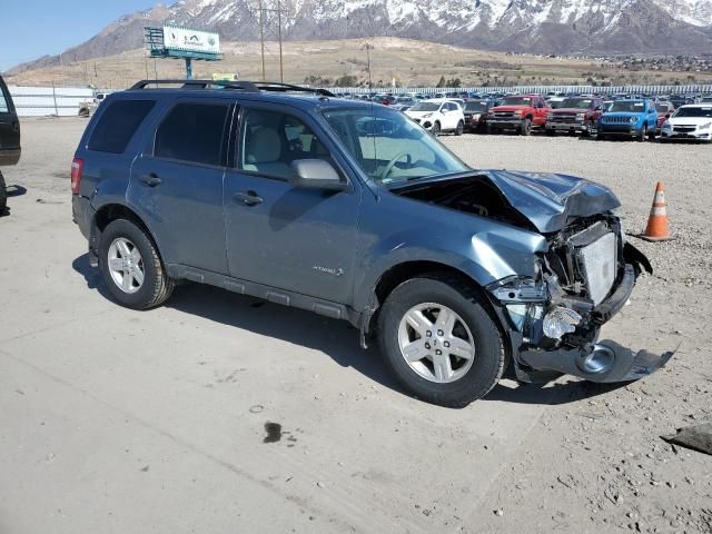 2010 Ford Escape Hybrid